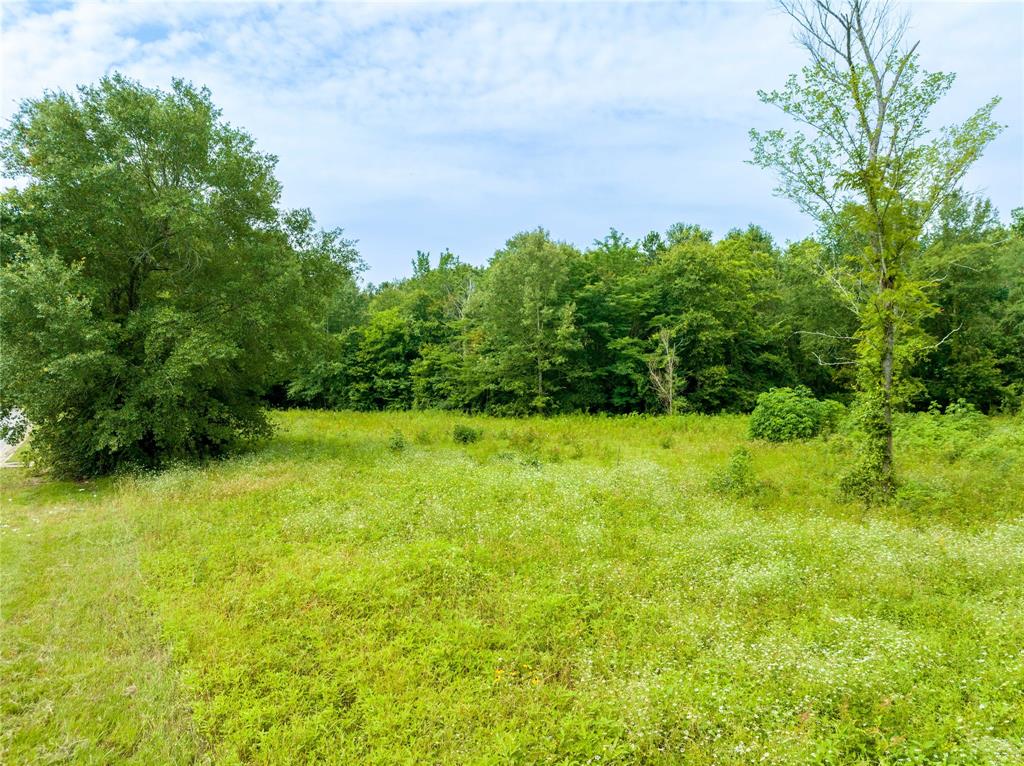 a view of a garden