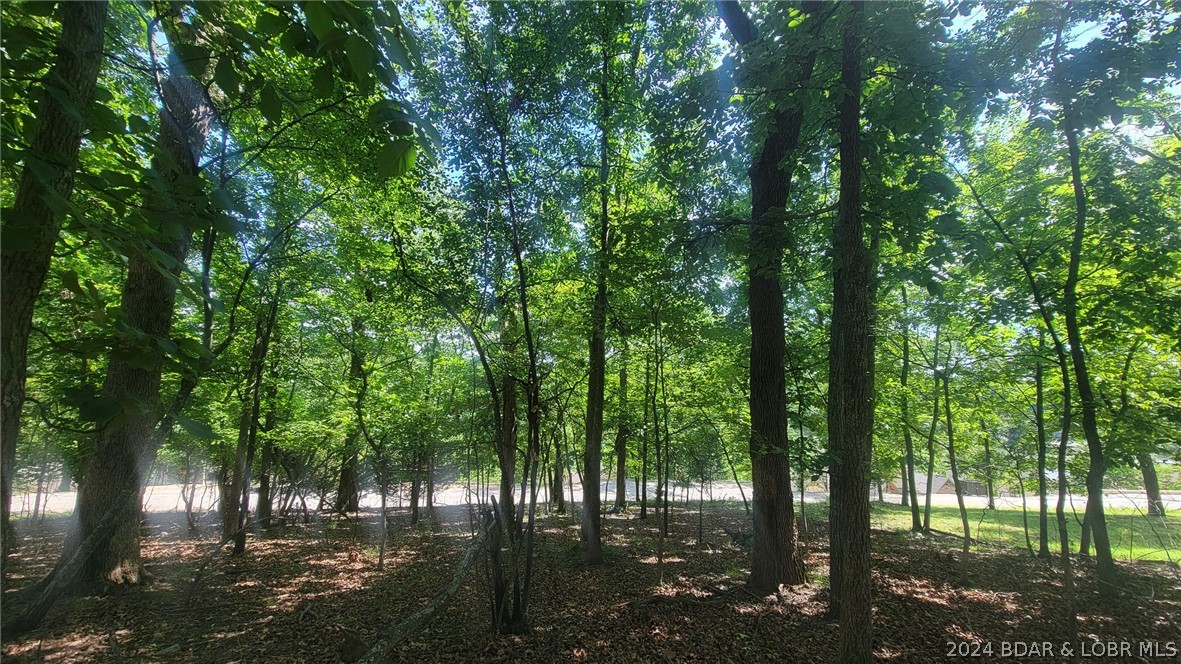 View from the middle of the lot.