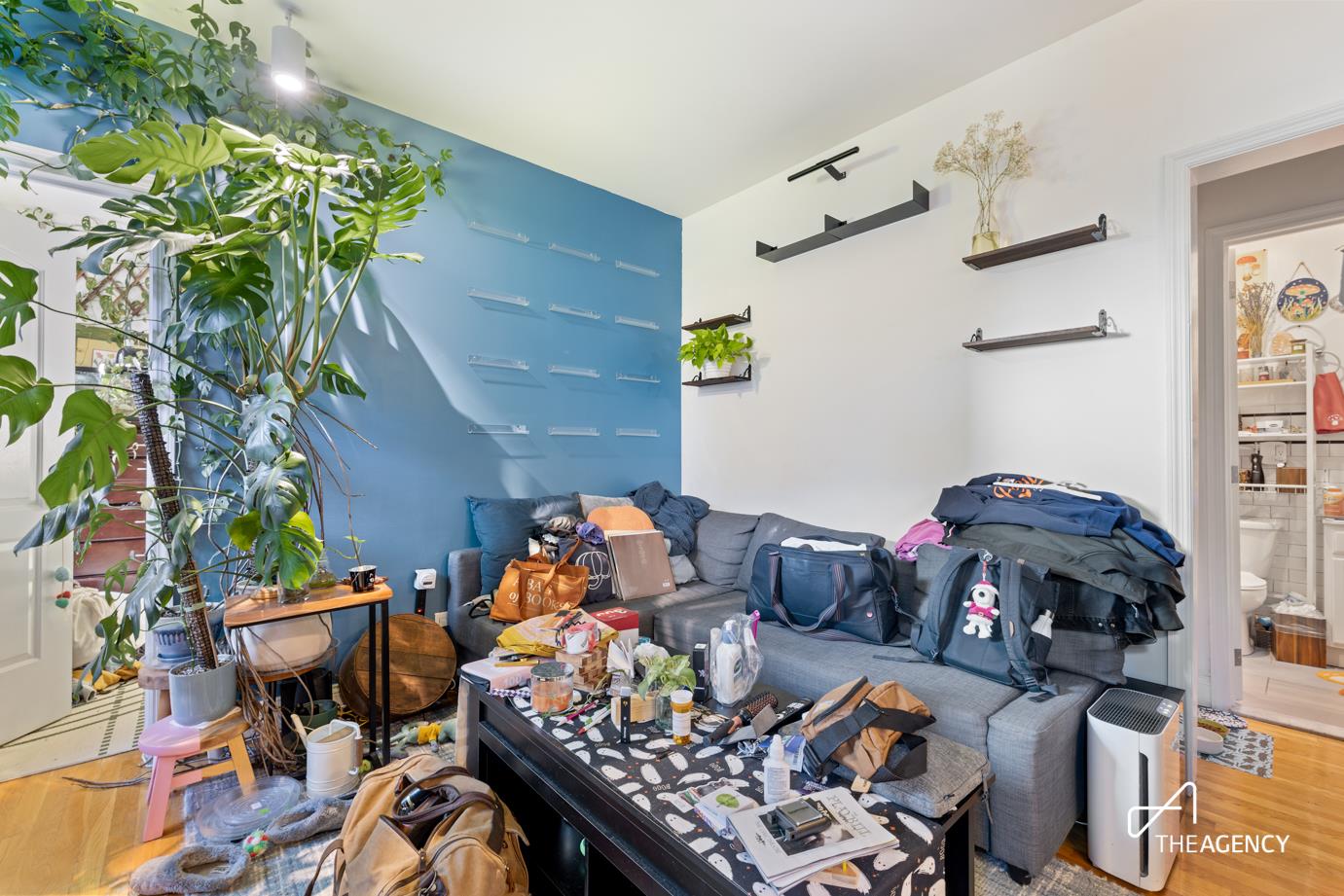 a living room with furniture and a potted plant