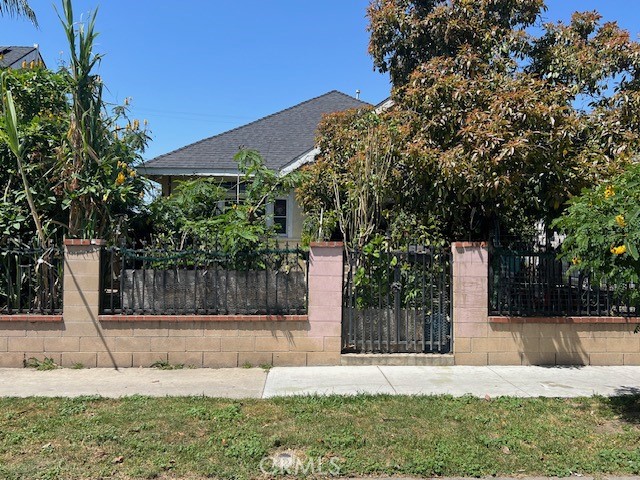 a view of a garden with plants