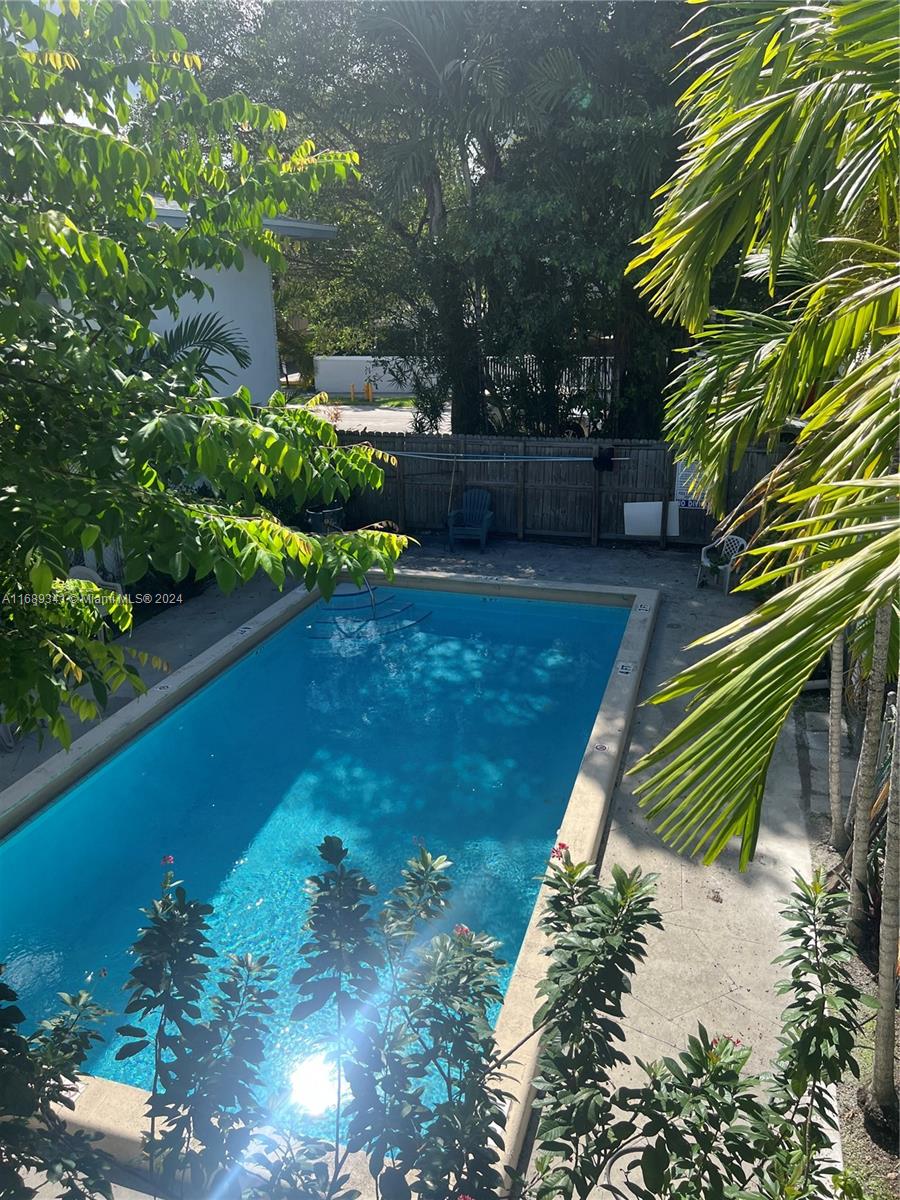 a view of a yard with plants and large trees