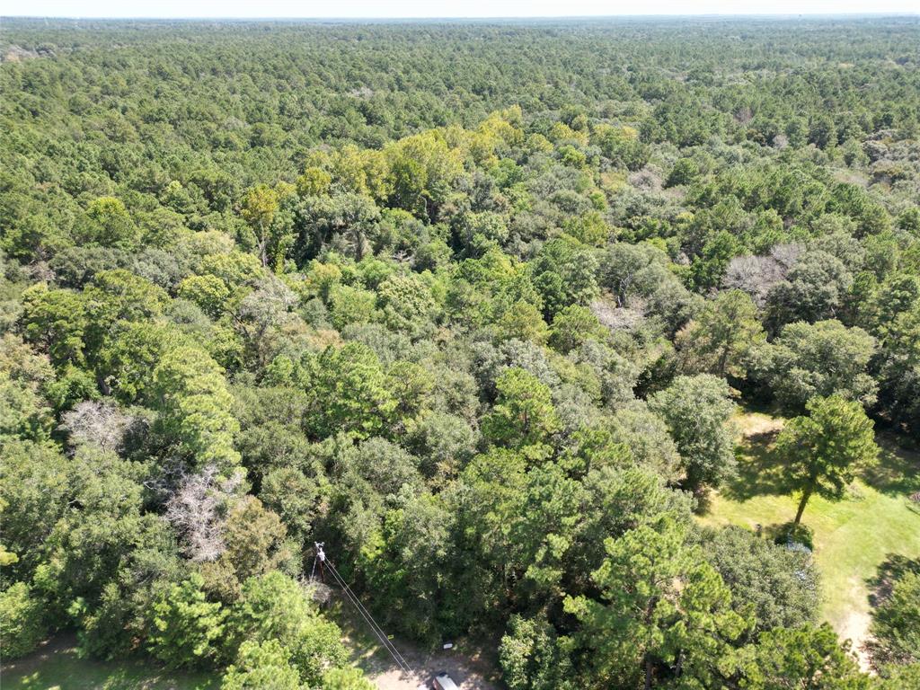 an aerial view of residential houses with outdoor space and trees