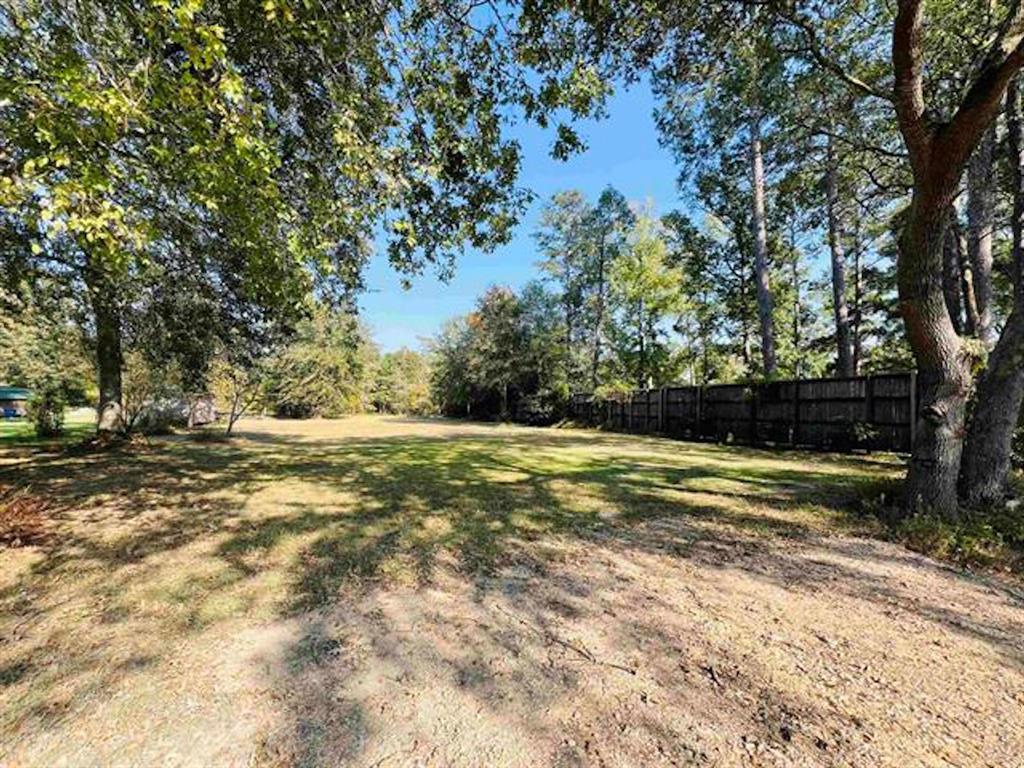 a view of a yard with a tree