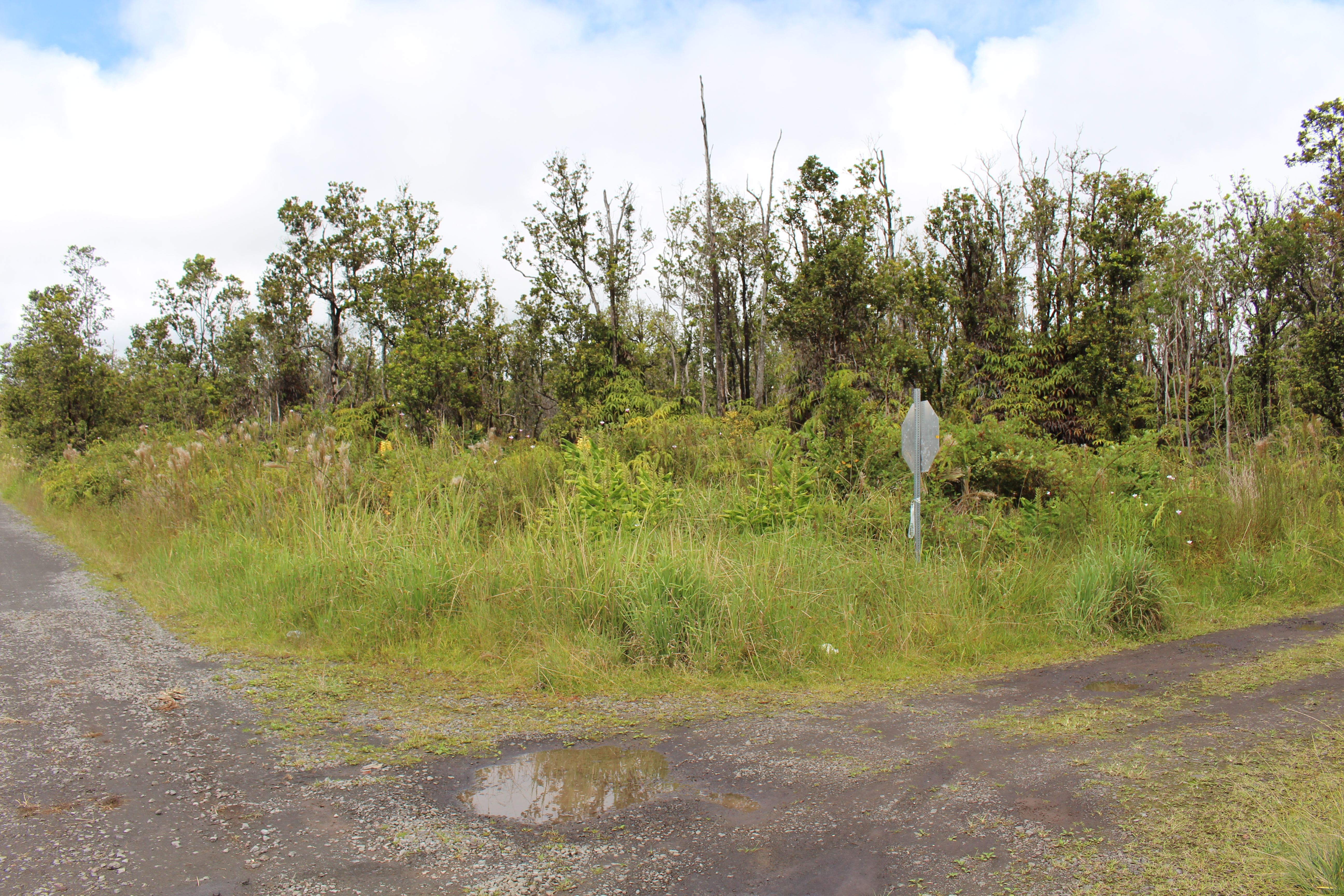 Noe Kuahiwi Square 3 Acre lot for sale