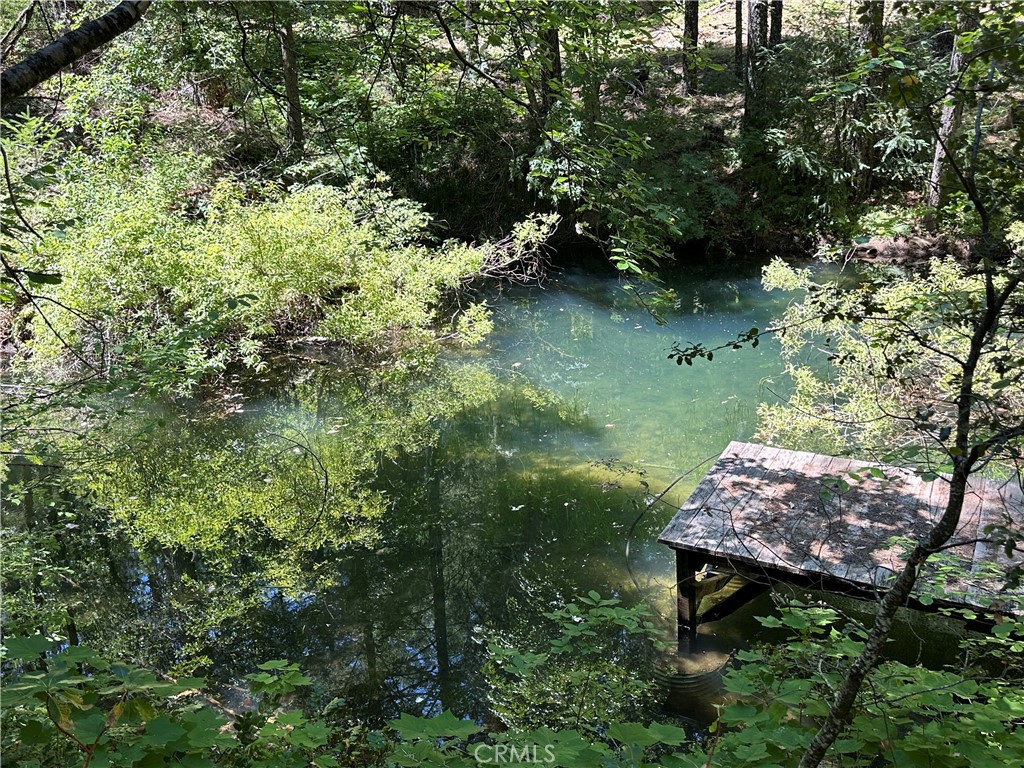 a view of a back yard of the tree