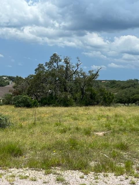 a view of a yard