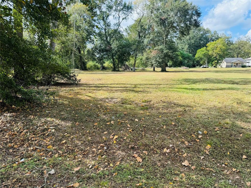 a view of a green field with lots of trees