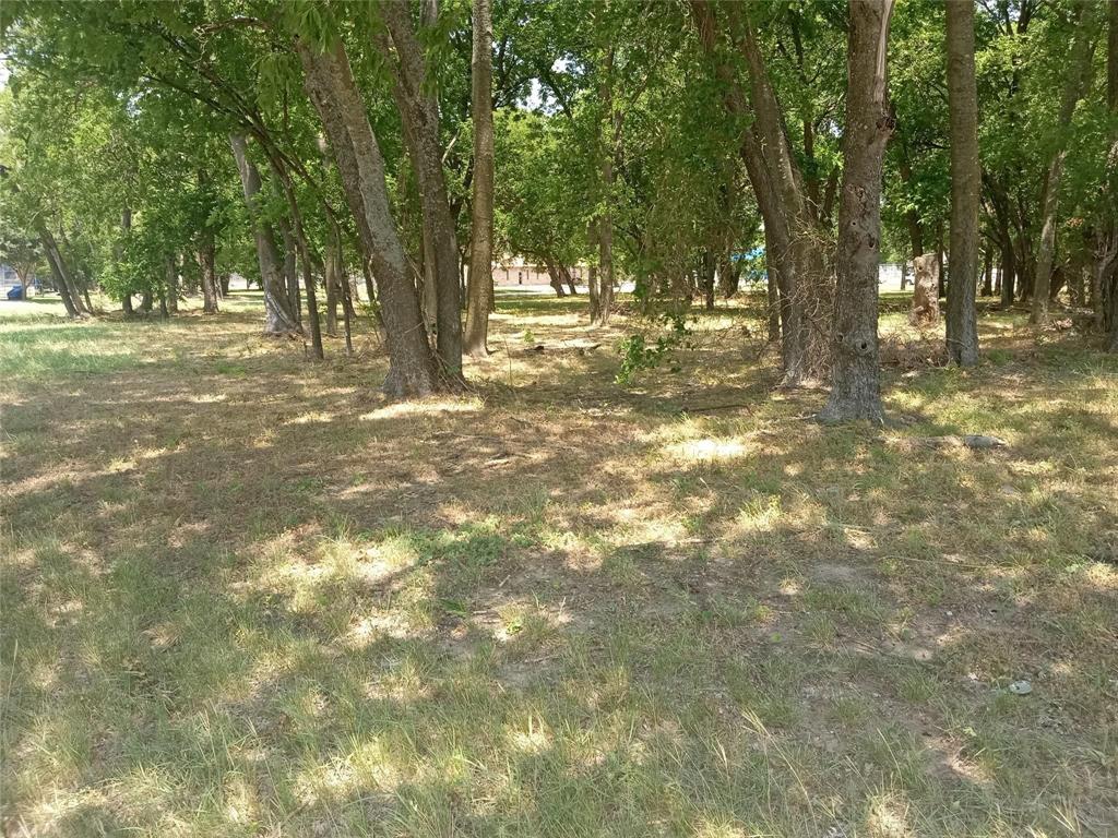 a view of outdoor space with trees