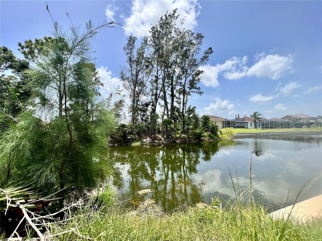 a view of a lake from a yard