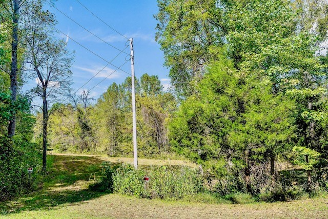 a view of a garden