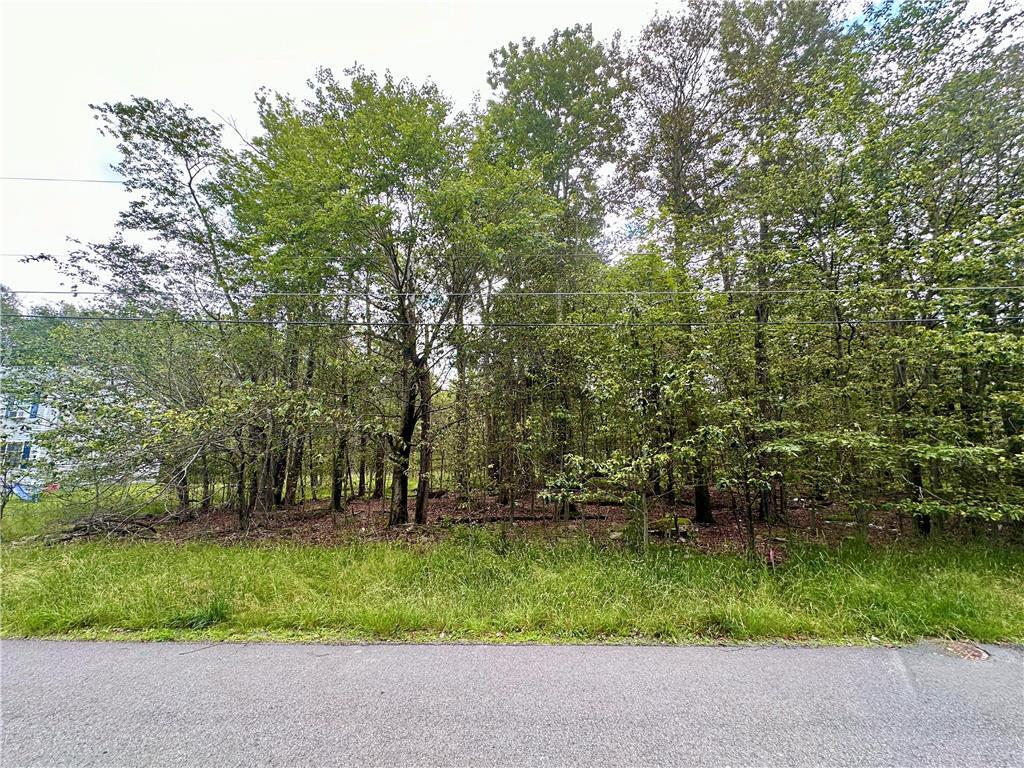 a view of backyard with green space