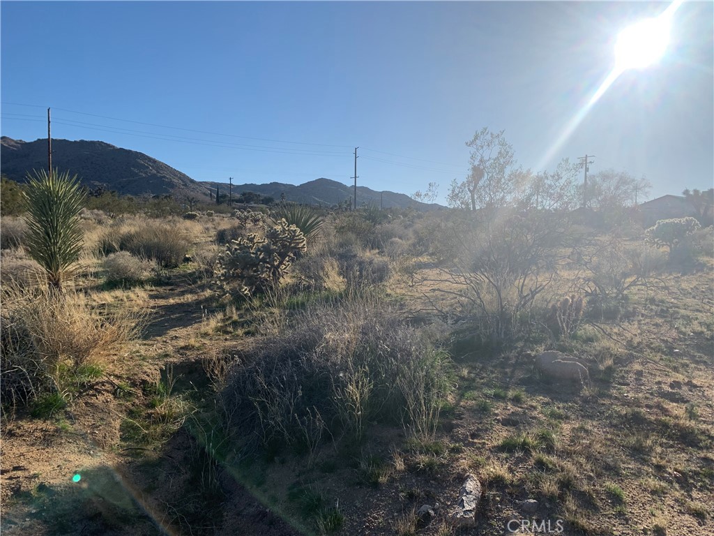 a view of a dry yard with mountains in the background