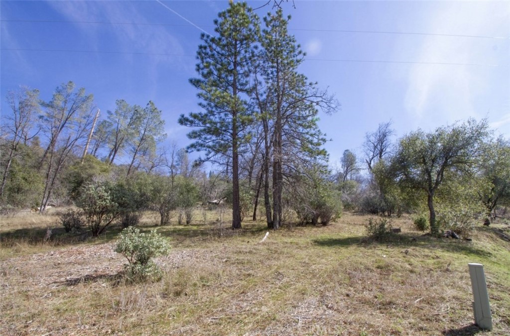 a view of backyard with green space