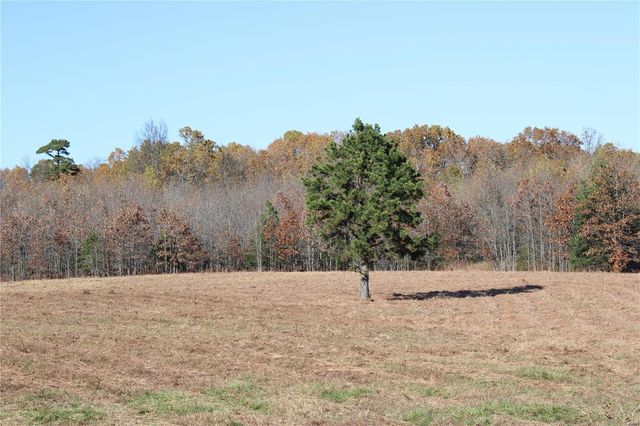 $90,000 | 0 County Road 2780 | Chapel Township - Howell County