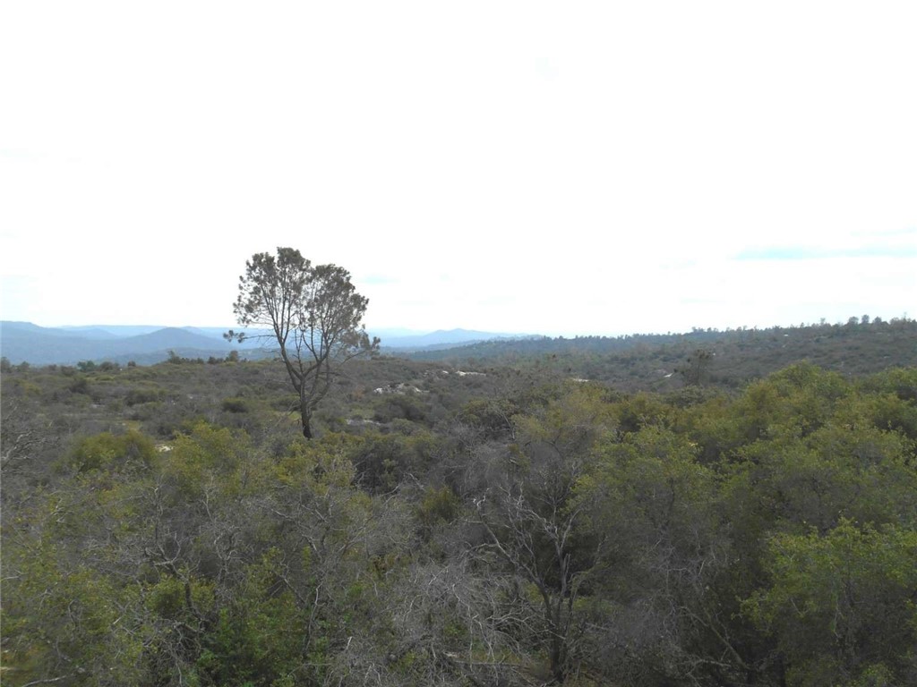 a view of a field with mountains in the background