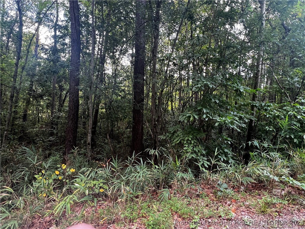 a view of outdoor space and green space