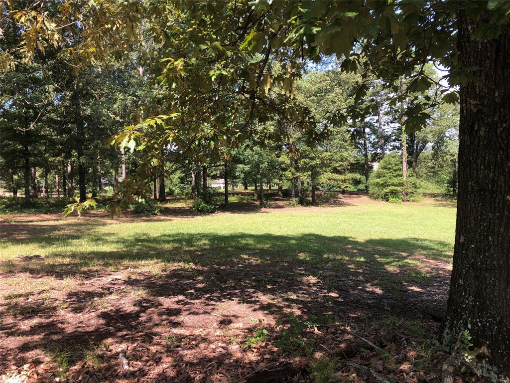 a view of yard with green space