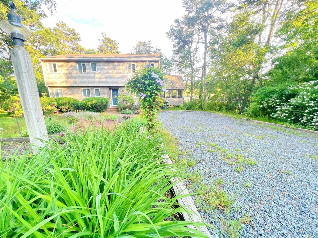 a view of backyard with potted plants and a large tree