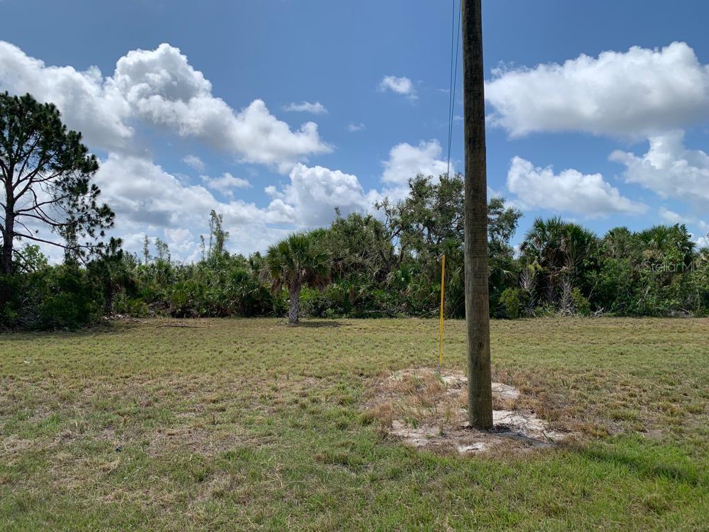 a view of a field with a tree in the background