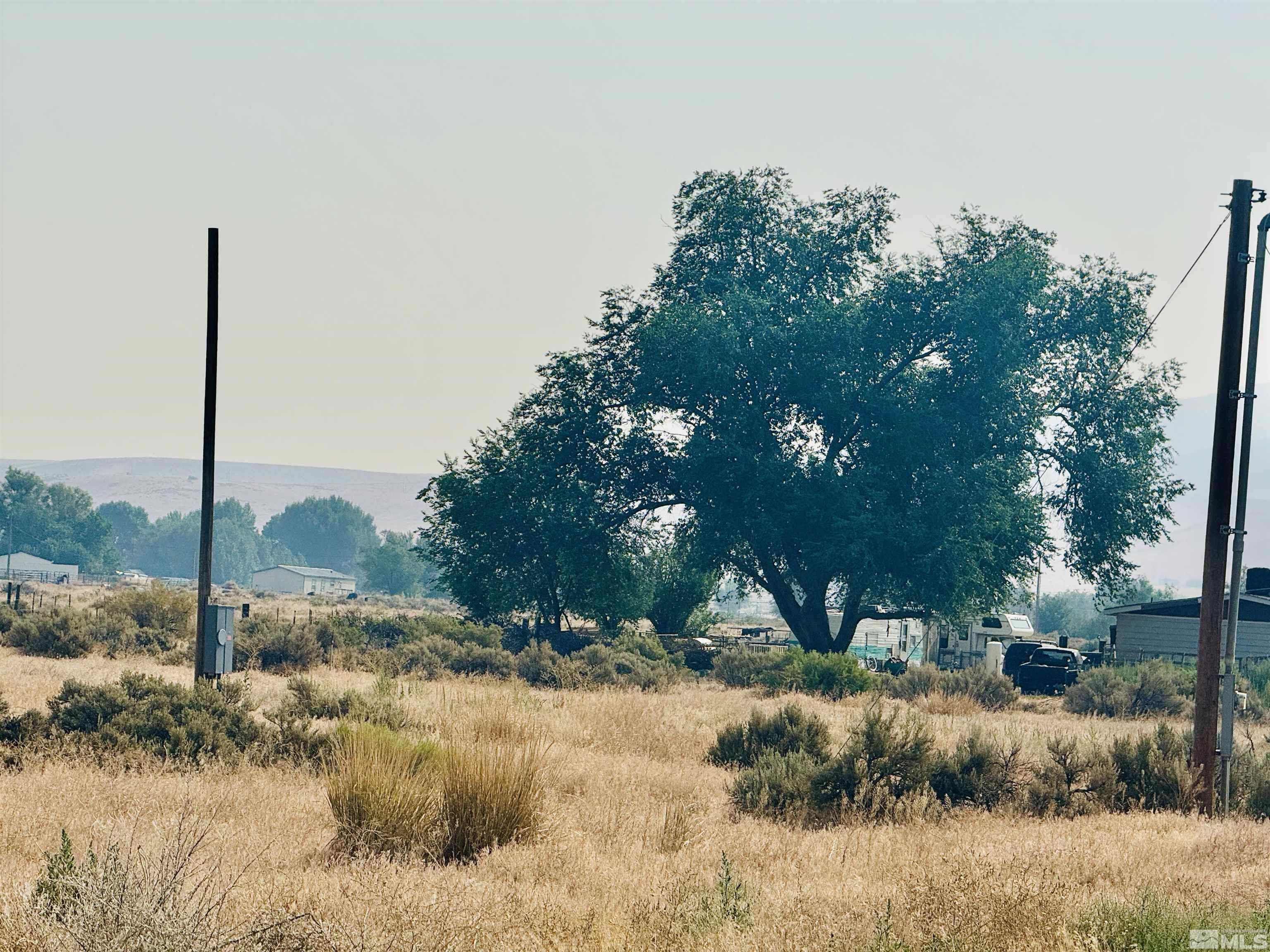 a view of a road with a yard