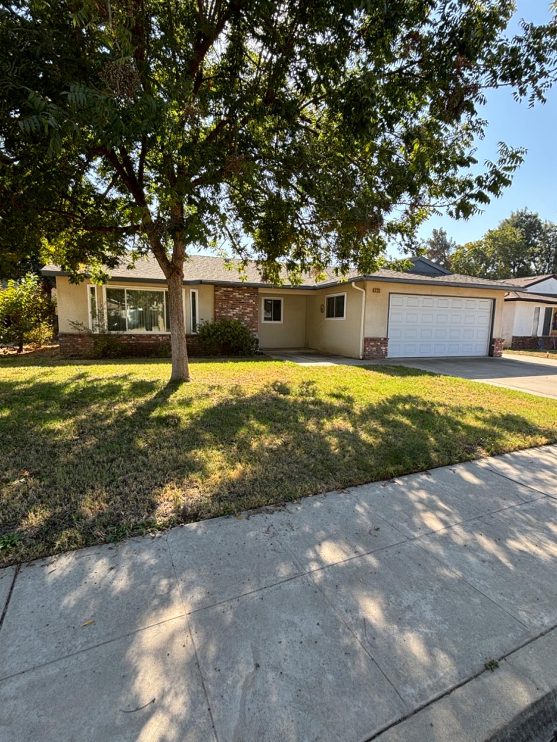 a view of back yard of the house with a yard