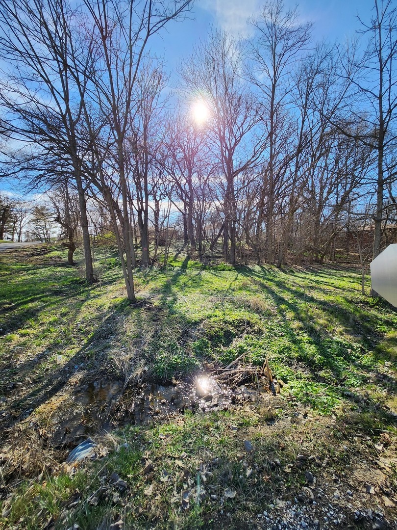 a backyard of a house with a trees