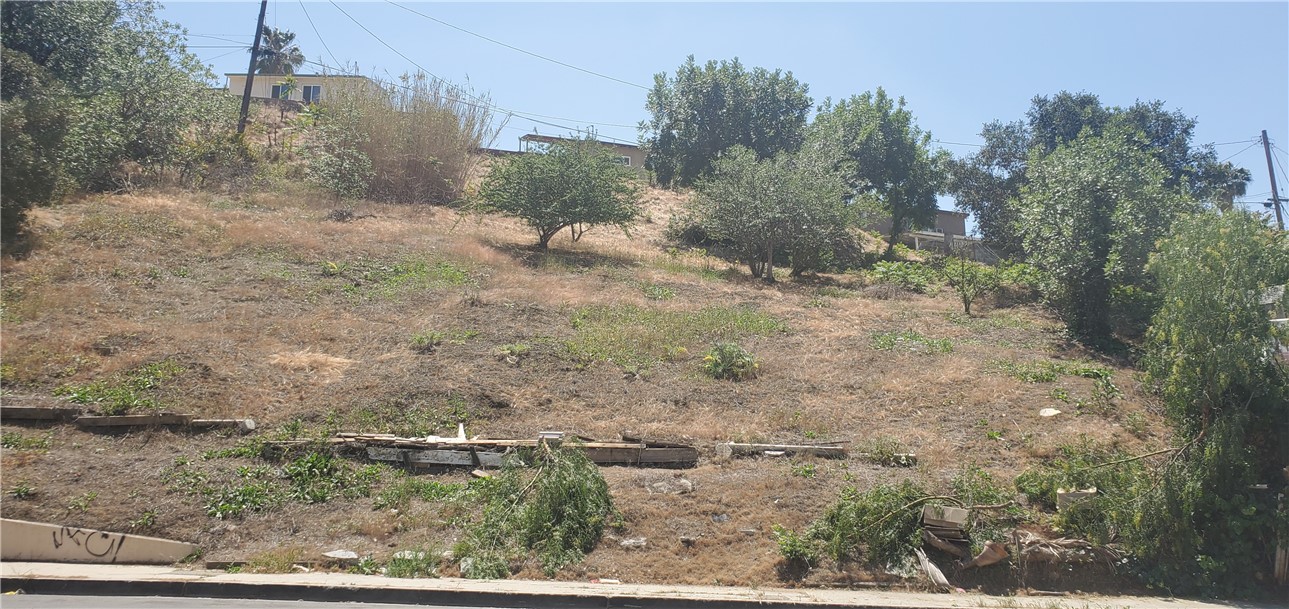 a view of a dry yard with trees