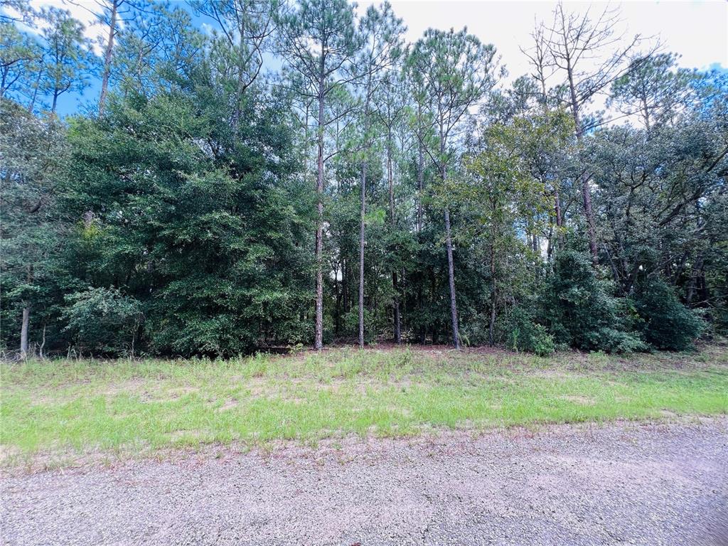 a view of a field with trees in the background