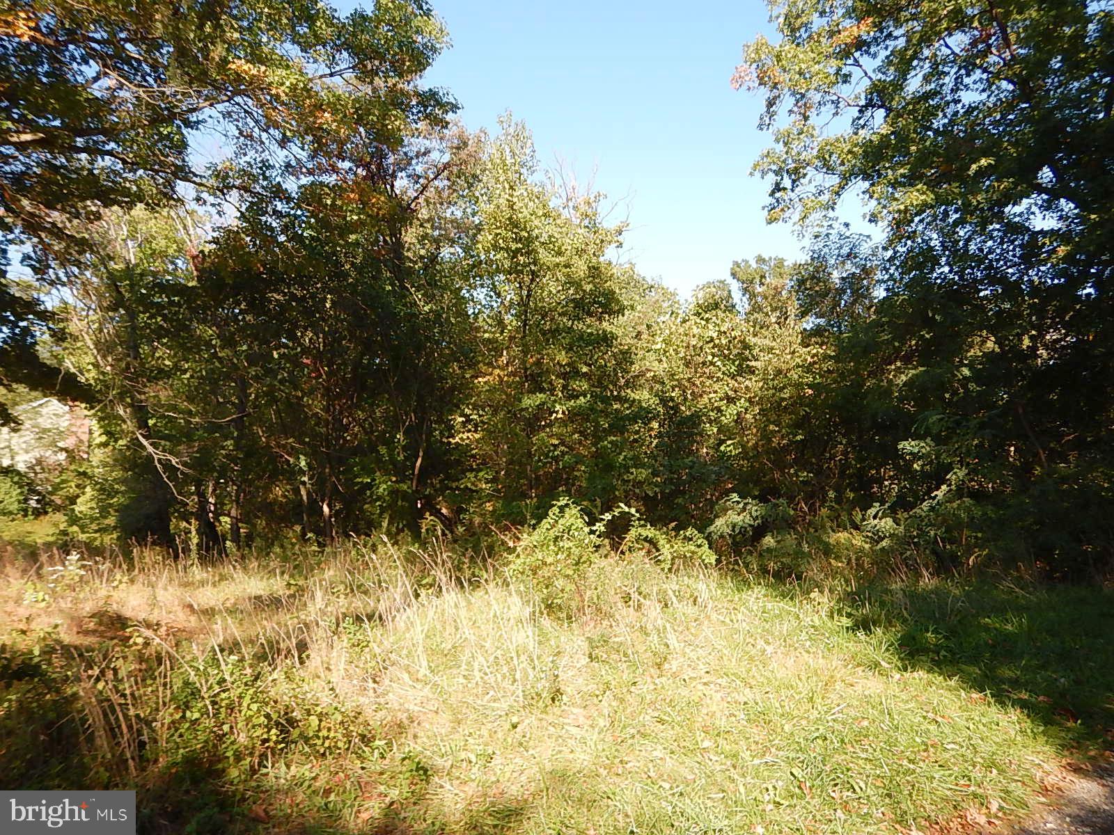 a view of mountain view