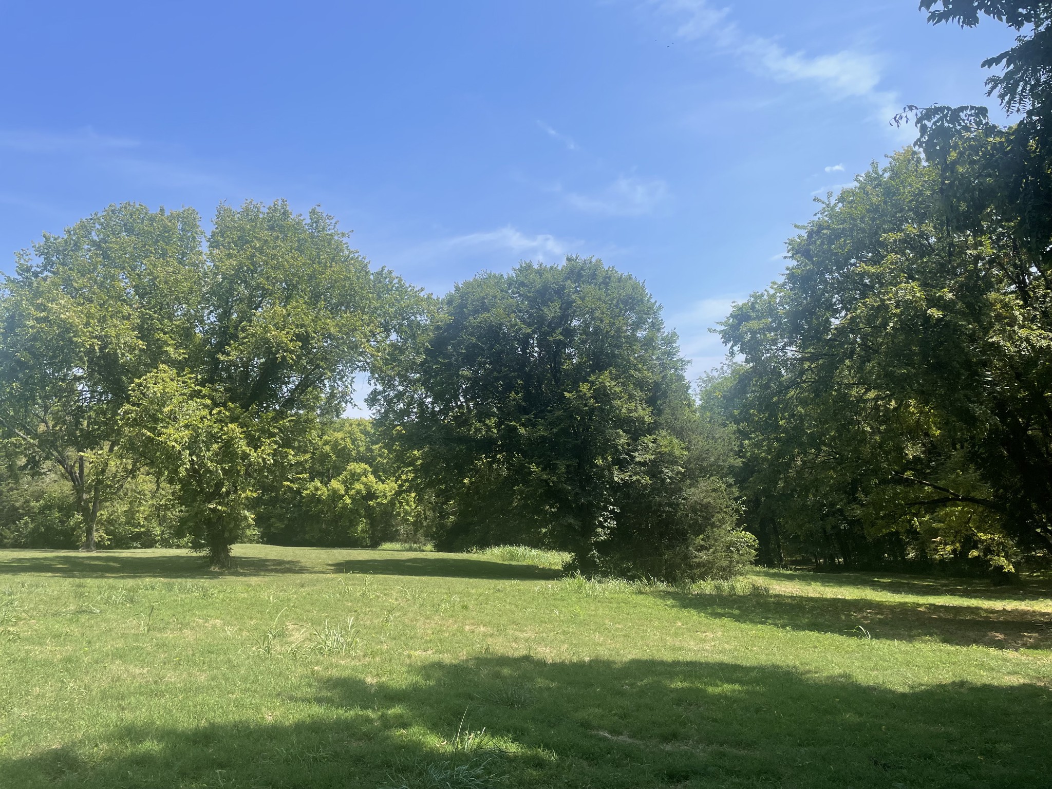 a view of a grassy field