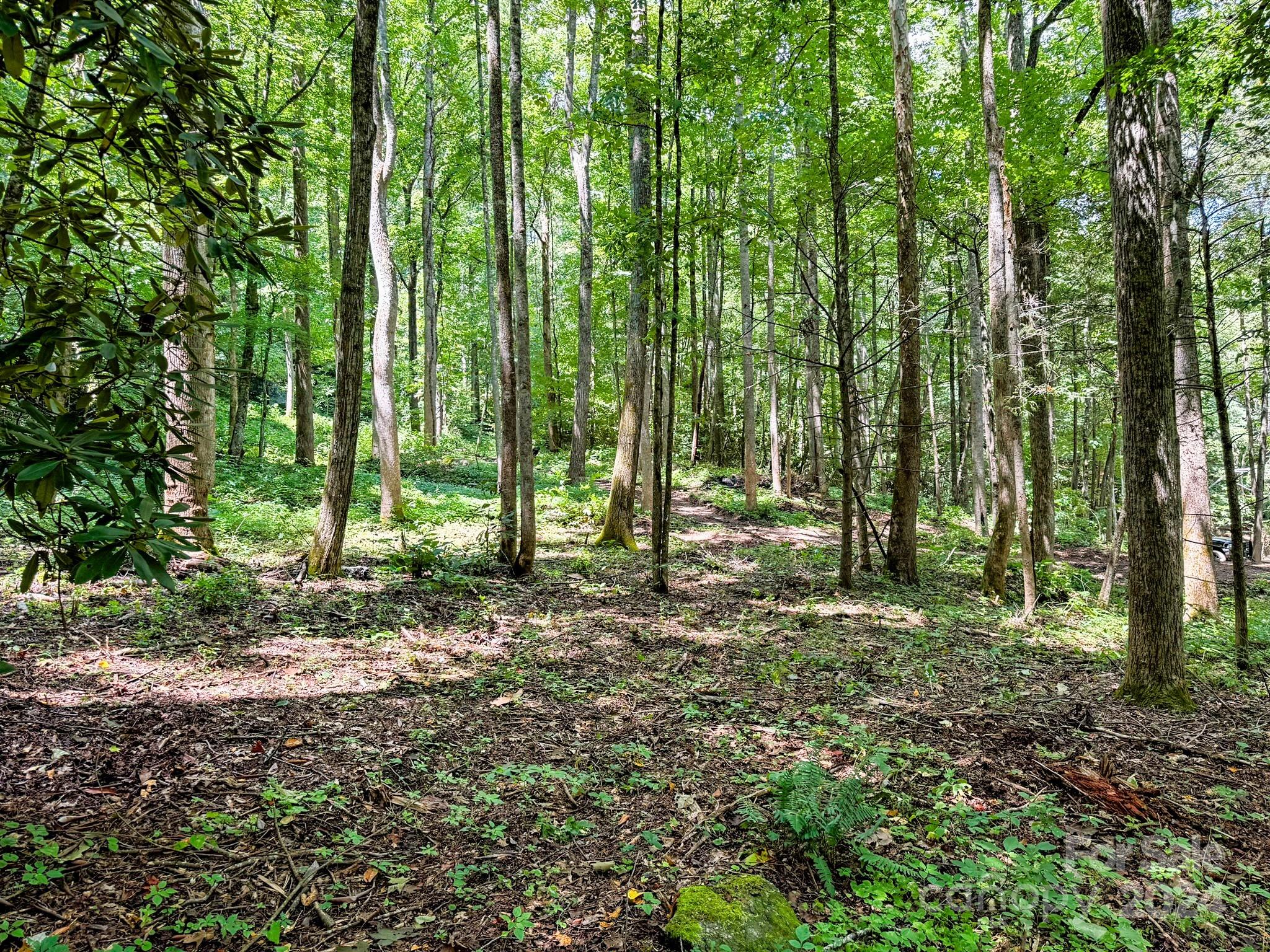 a view of outdoor space and trees