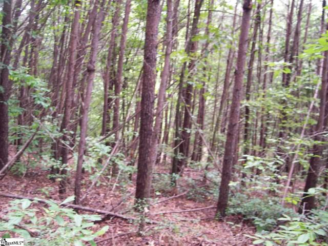 $18,500 | 343 Gauley Falls Road, Unit LOT 87 GAULEY FALLS | Gauley Falls