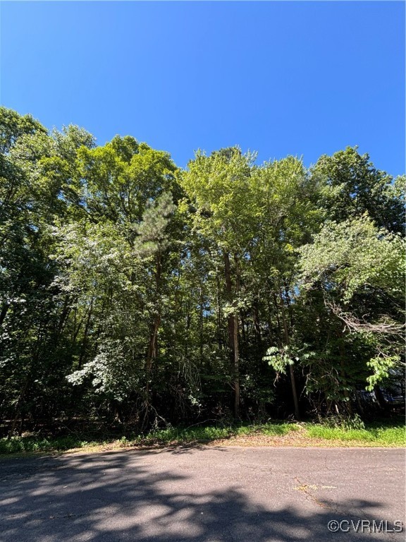 View of local wilderness