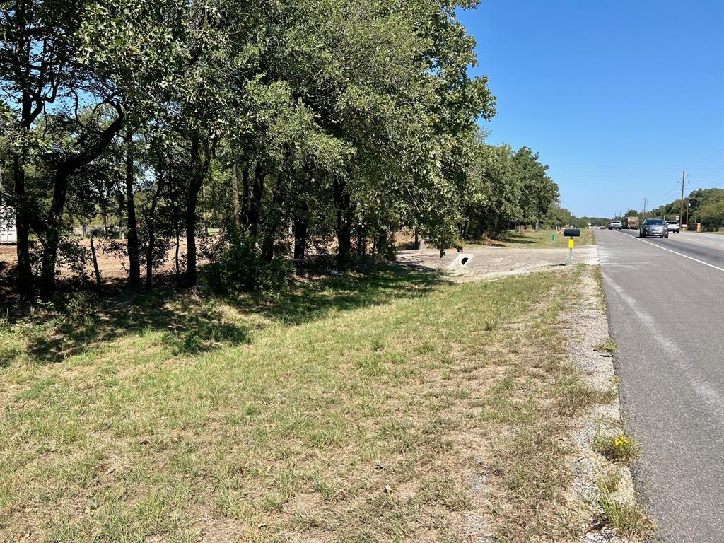 a view of a yard with large trees