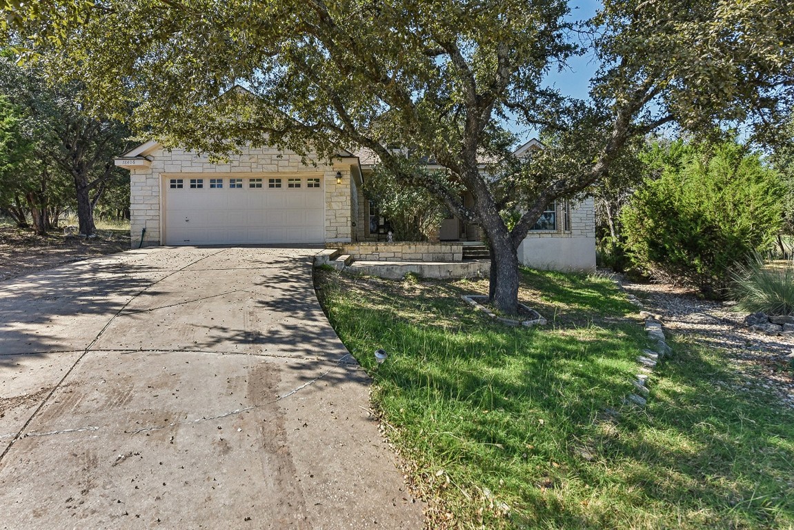 a view of a yard with plants and a tree