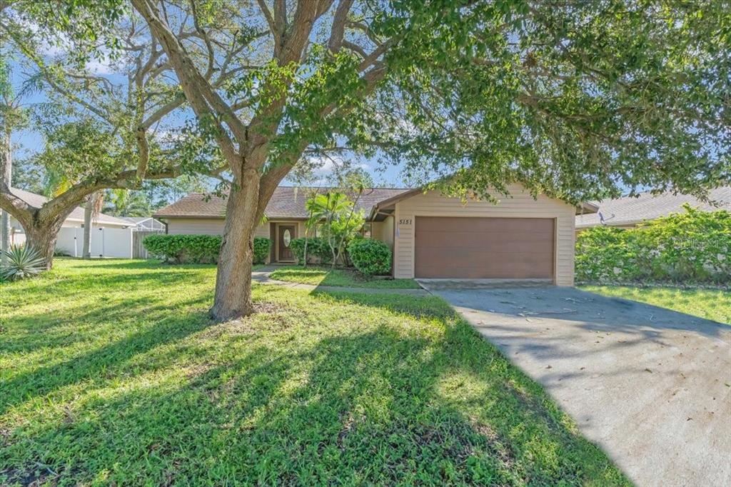 a view of a house with a tree and a yard