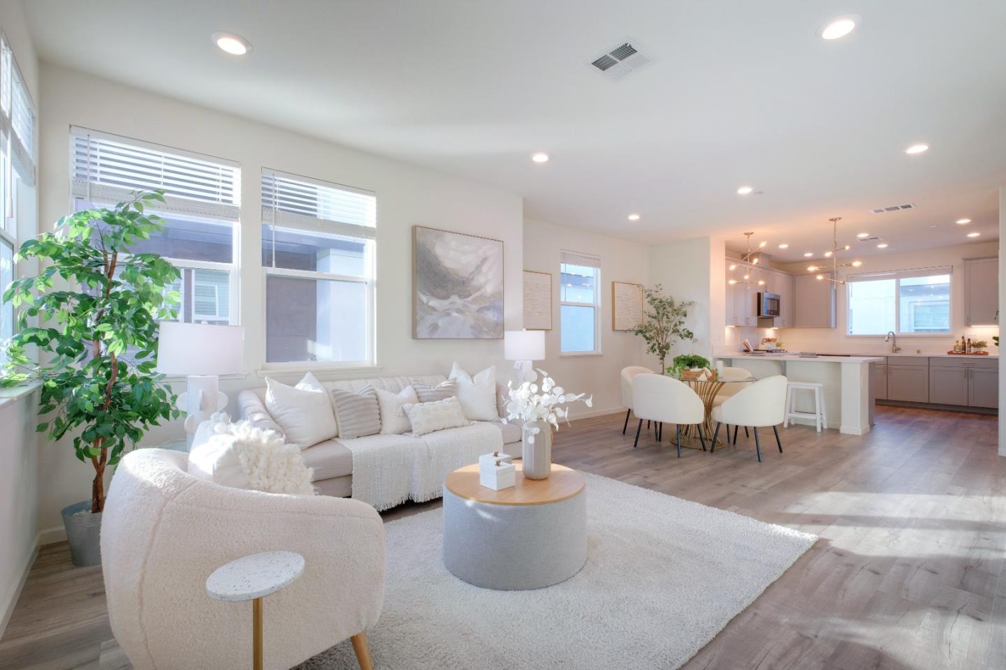 a living room with furniture and a potted plant