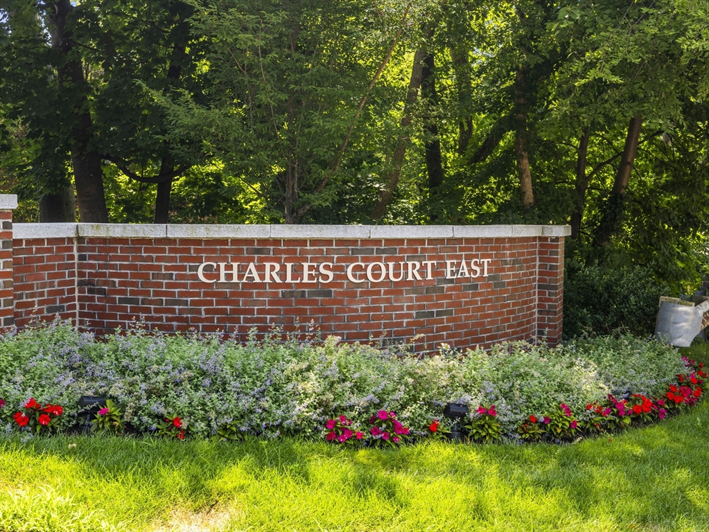 a view of a sign in a garden