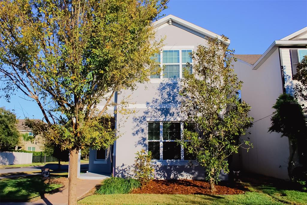 front view of a house with a tree