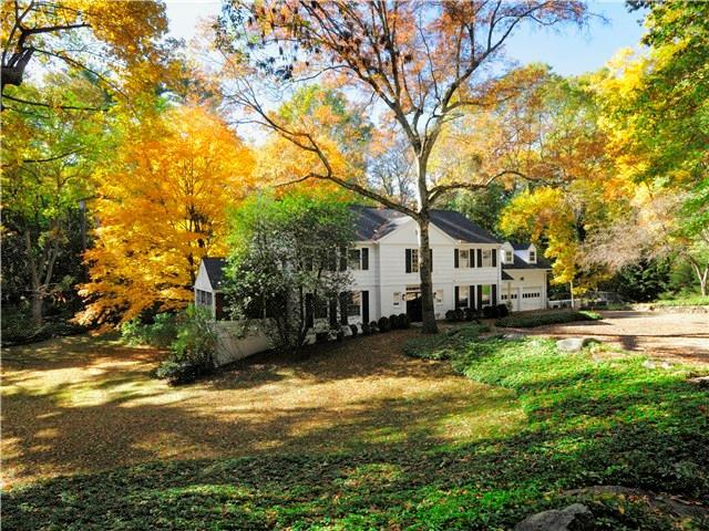 a view of a yard with a large tree