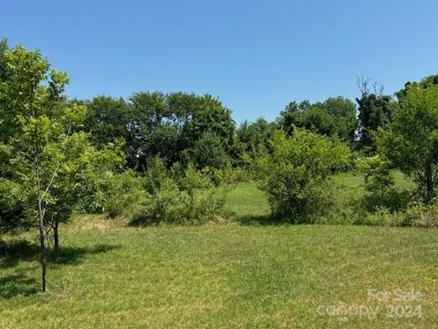 a view of a lush green space