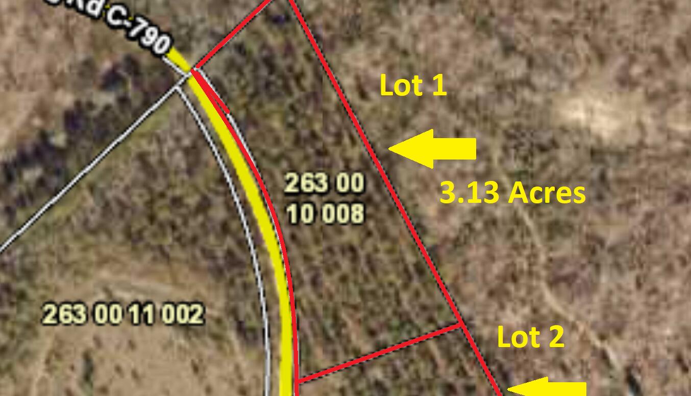 FYF Lot 1 Aerial Map