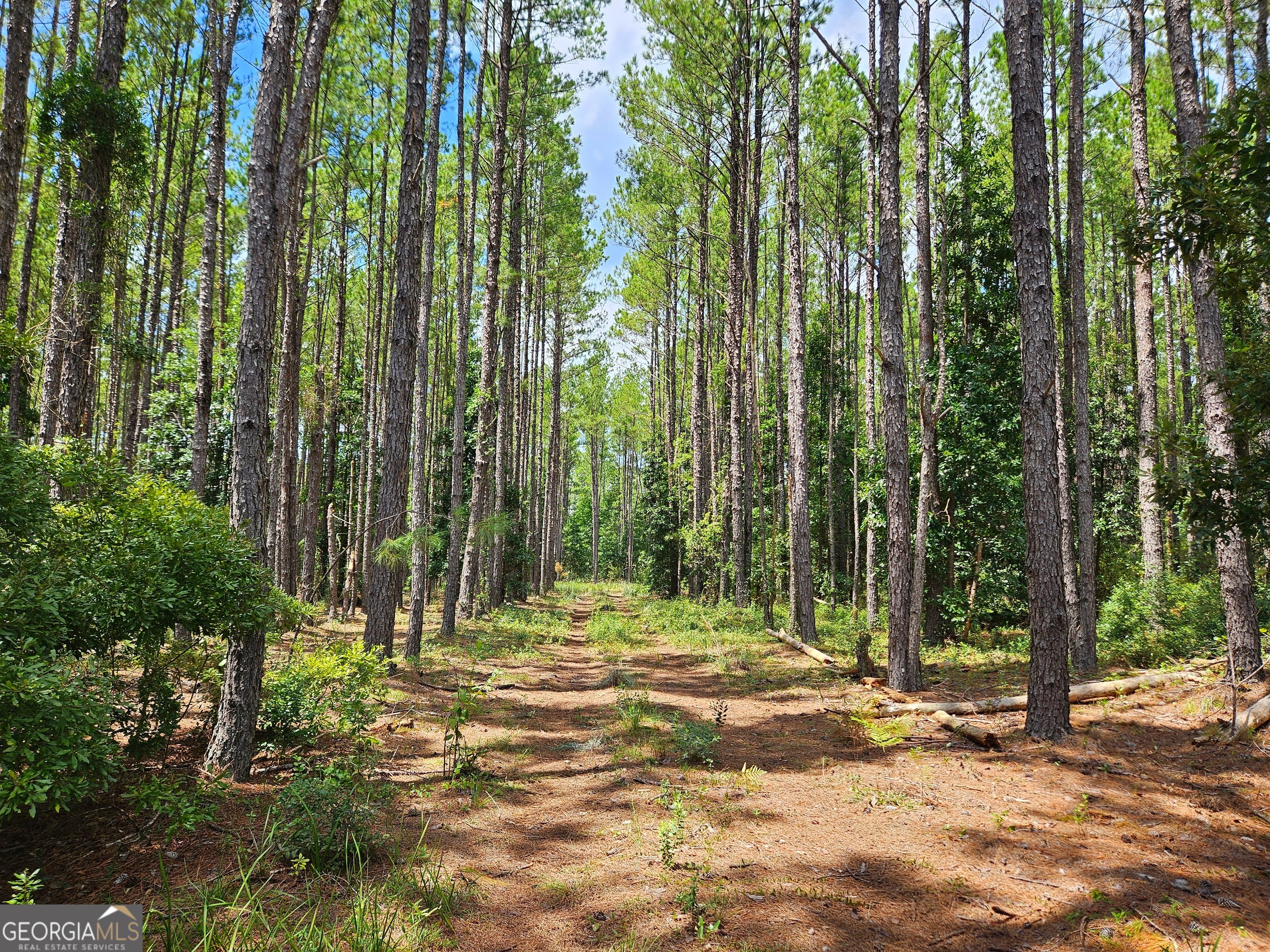 a view of field with trees in the background