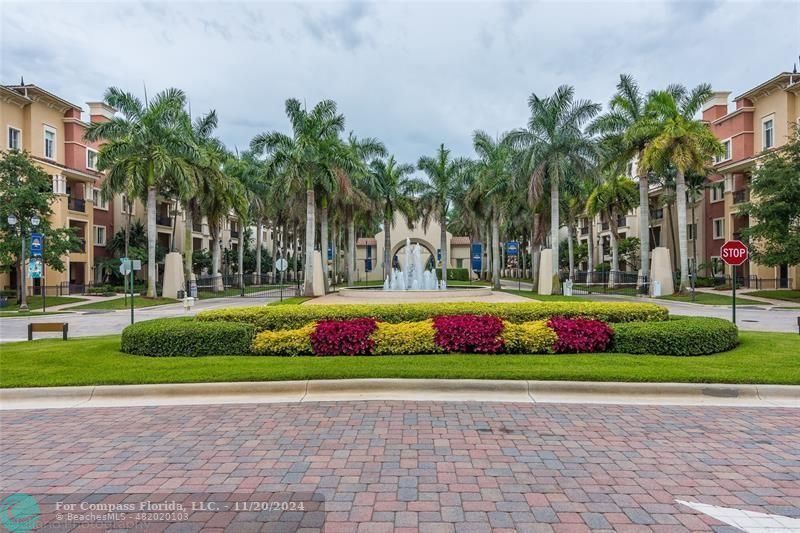 a view of a garden with palm trees