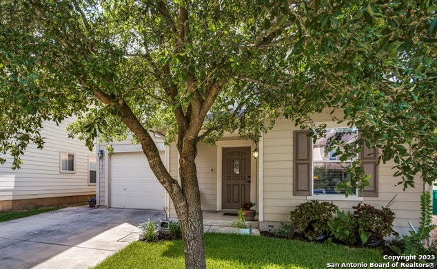 a front view of a house with a yard and tree