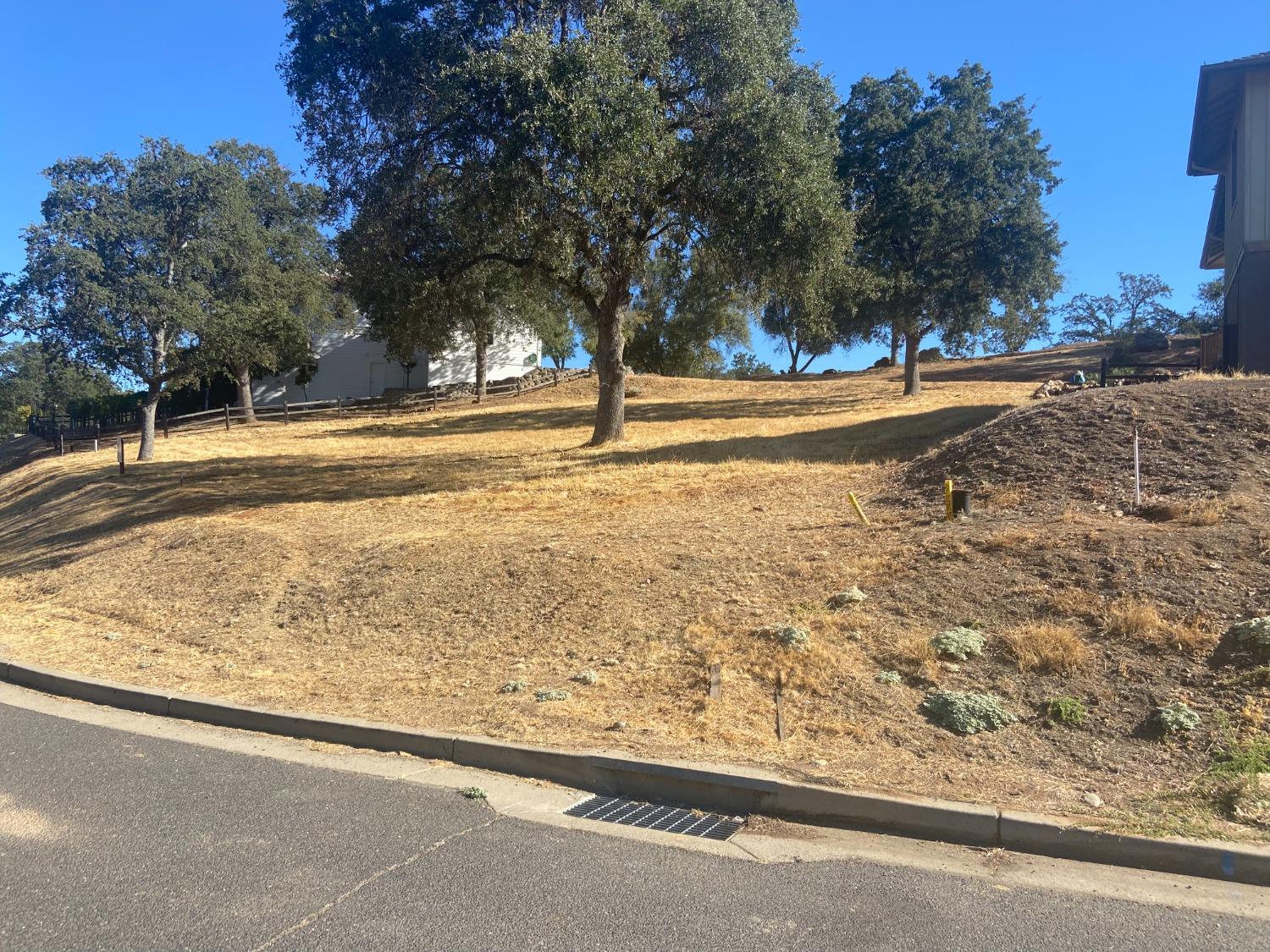 a view of yard with tree