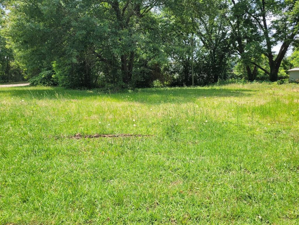 a view of a field with a trees in the background