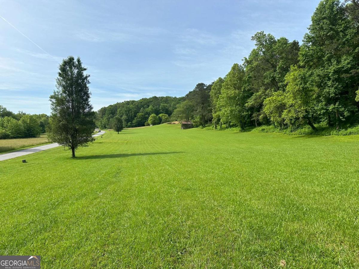 a view of a field of grass and trees