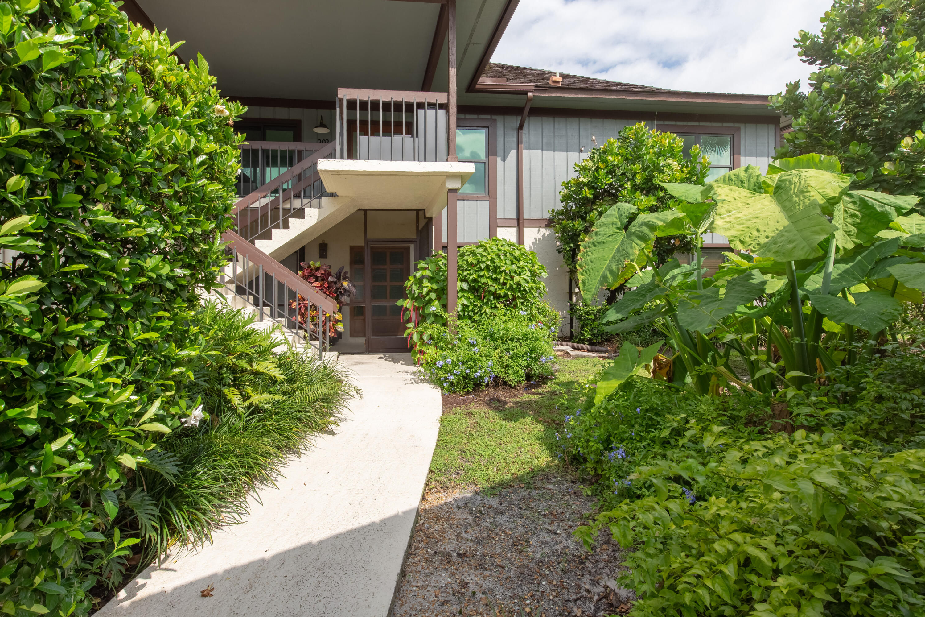 a view of a backyard with plants