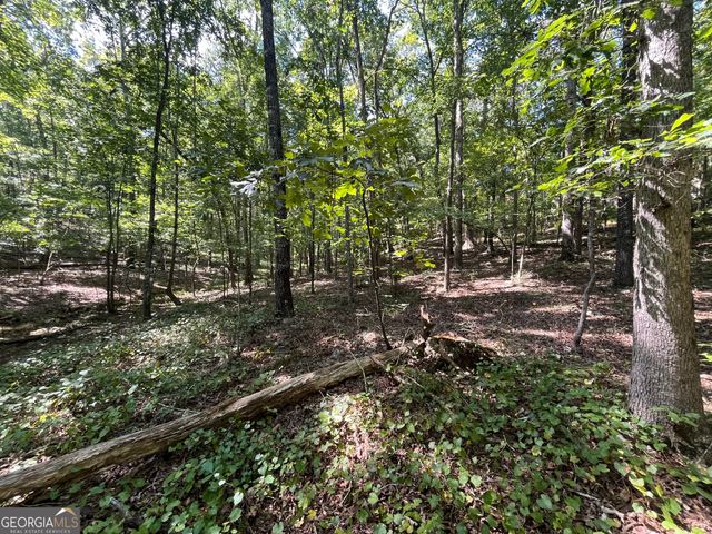 $59,999 | 0 Rustic Ridge Road